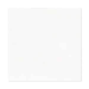 Taronga Arctic White tiles