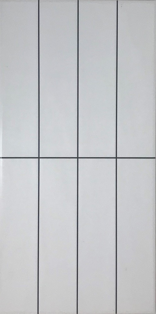Rectangle White Matte Internal tiles 300x600